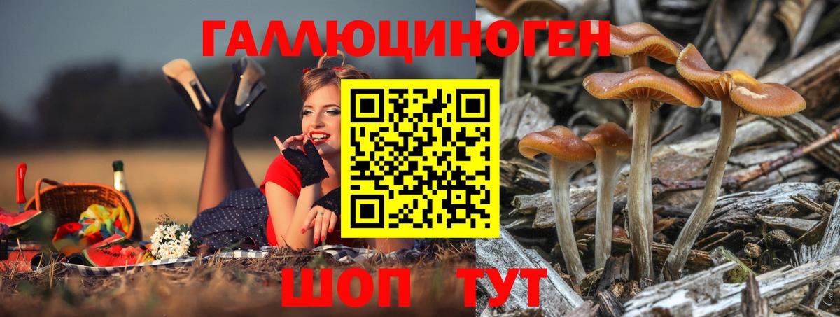 Псилоцибиновые грибы MAGIC MUSHROOMS  Псилоцибиновые грибы Psilocybe  Баксан  Вход с VPN 